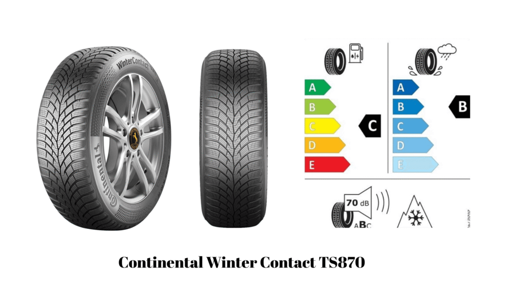 Winter Contact TS870