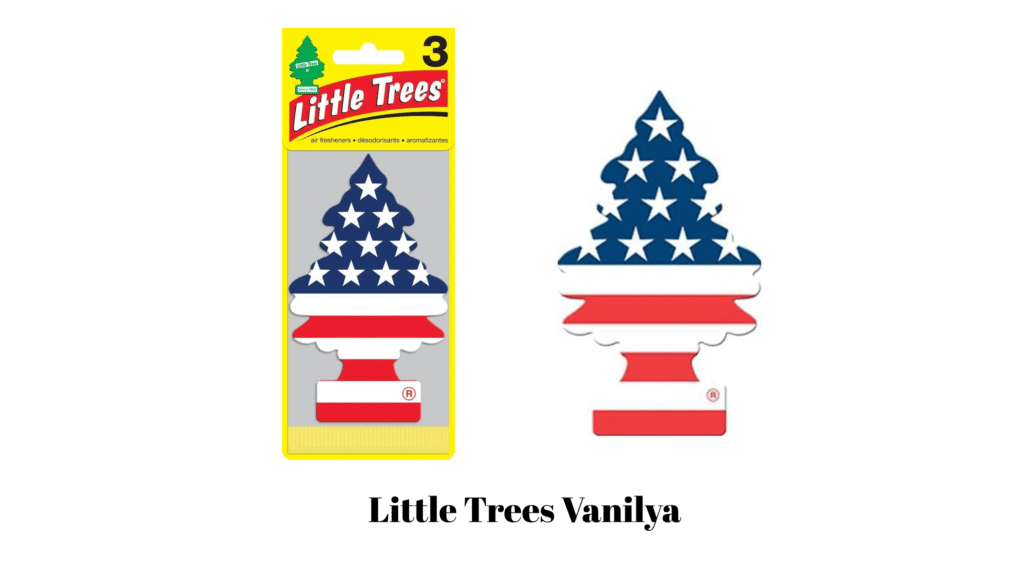 Little Trees Vanilya kokusu